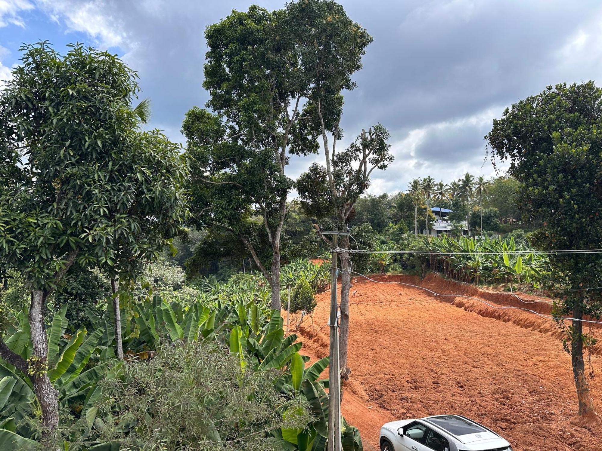 Kattil Farm Stay Varkala Thiruvananthapuram Exteriér fotografie