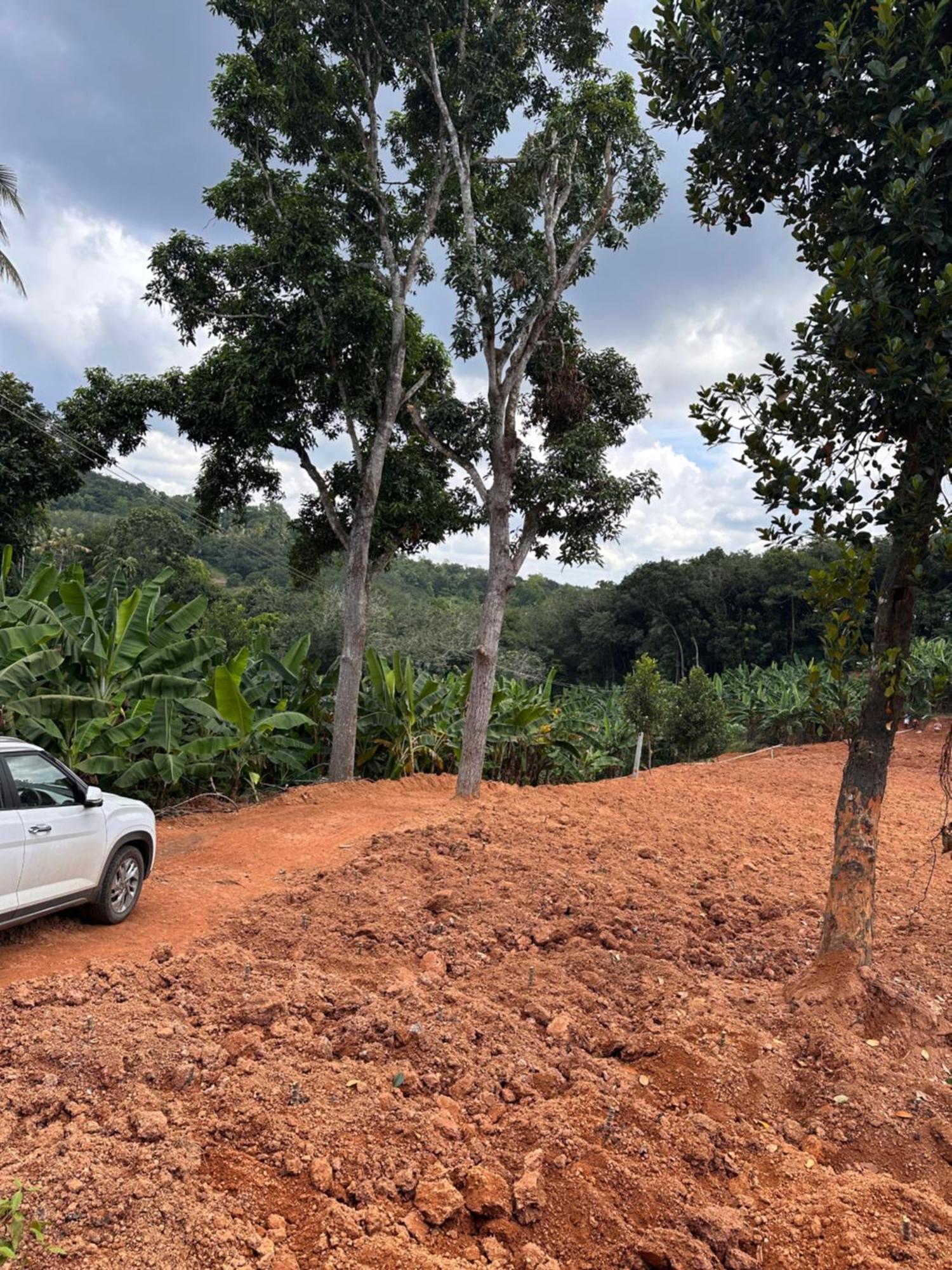 Kattil Farm Stay Varkala Thiruvananthapuram Exteriér fotografie